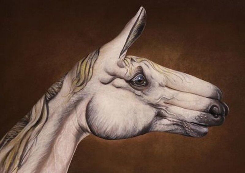 Horse Head Portrait — Brown, Dramatic