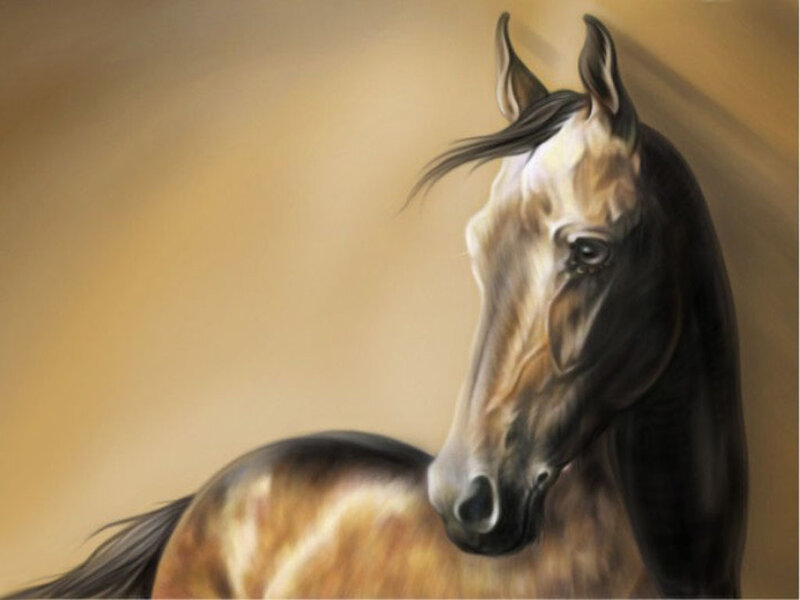 Horse Head Portrait — Brown