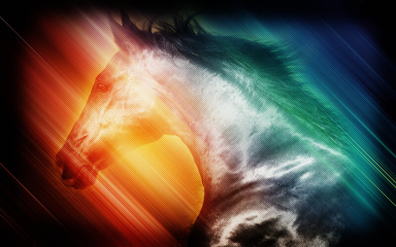 Horse Head Profile — Orange