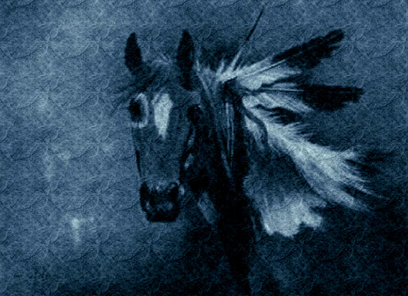 Horse Head with Feathers