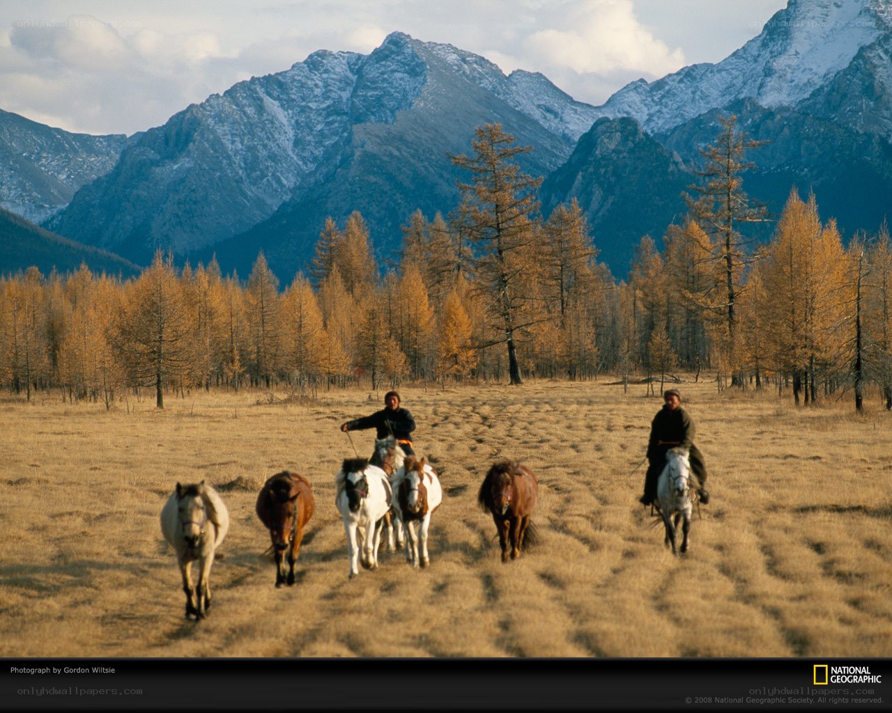 Horse herders in mountain valley