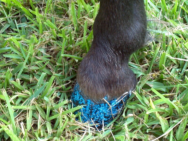 Horse Hoof with Glitter