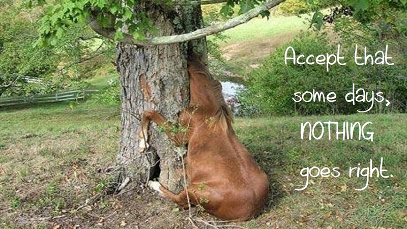 Horse Hugging Tree