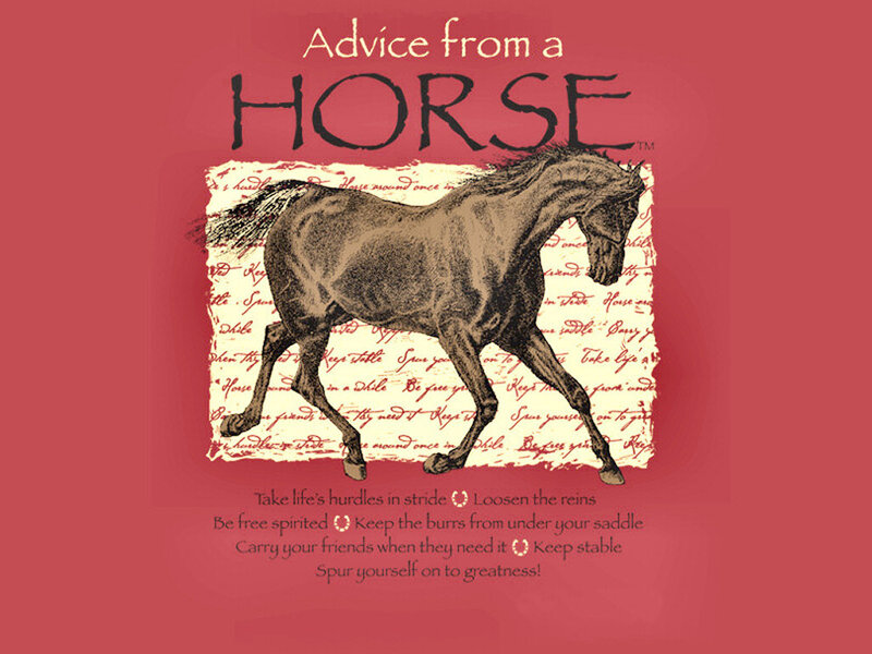 Horse Illustration