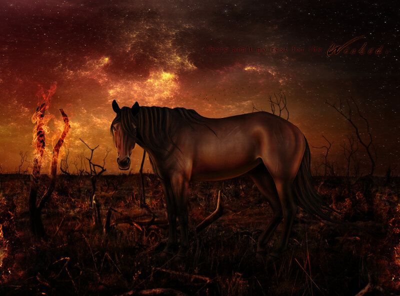 Horse in a Burned Field