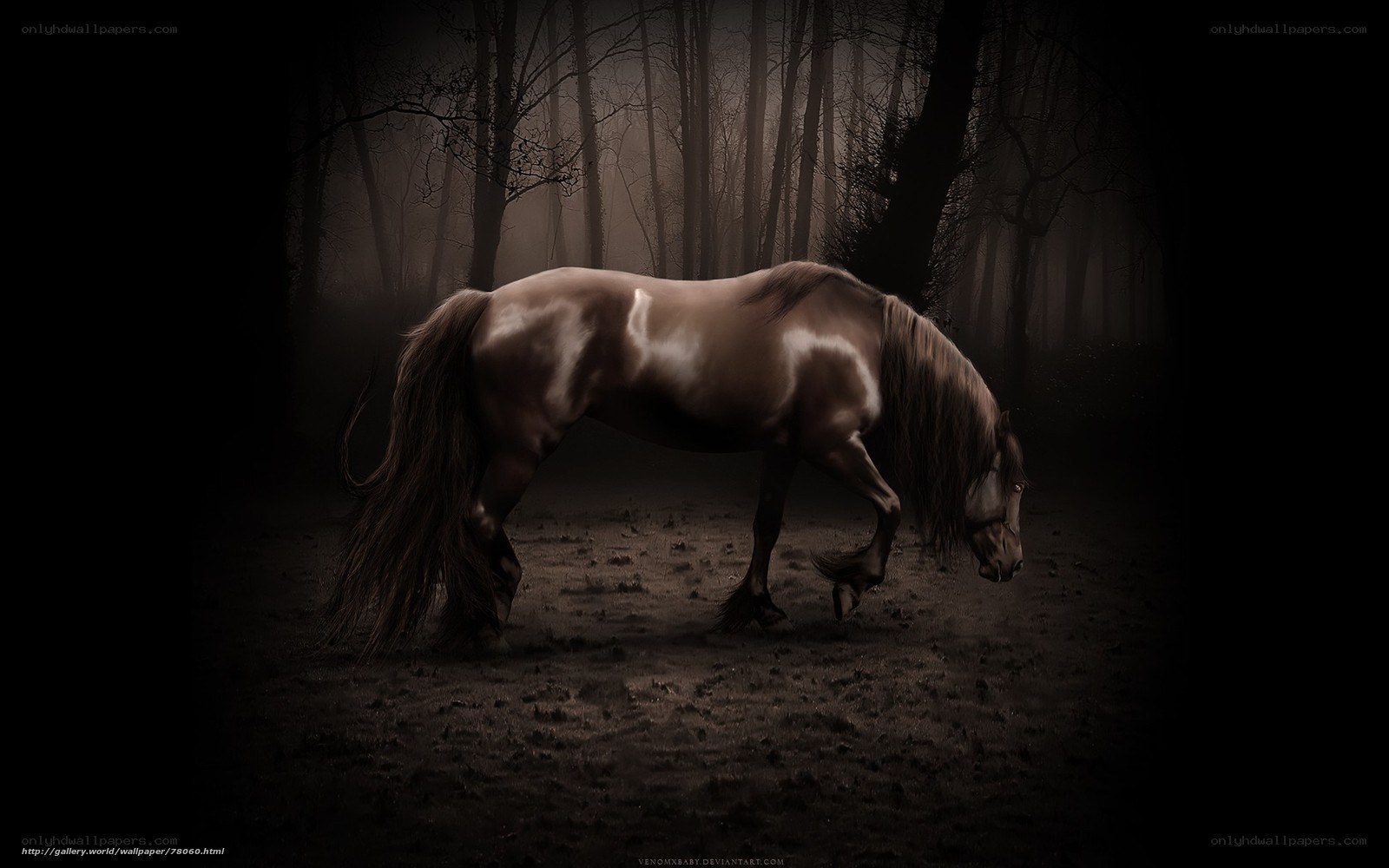 horse in a dark forest