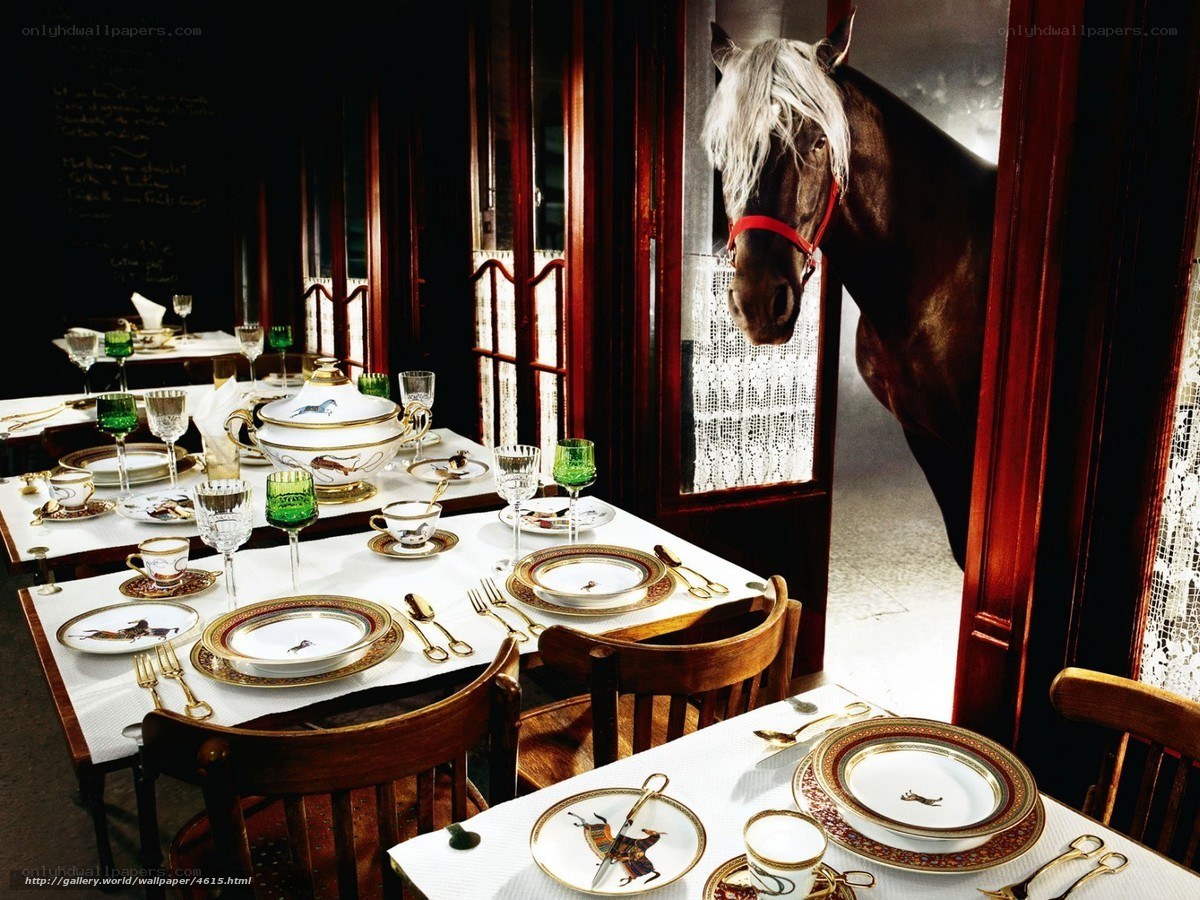 Horse in a dining room