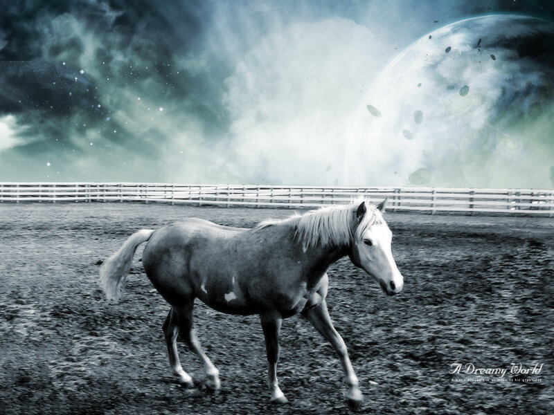 Horse in a dreamy world