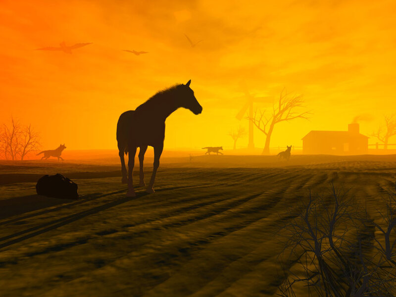 Horse in a Field — Orange, Dramatic, Sunset