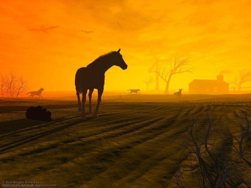 Horse in a Field — Orange, Dramatic
