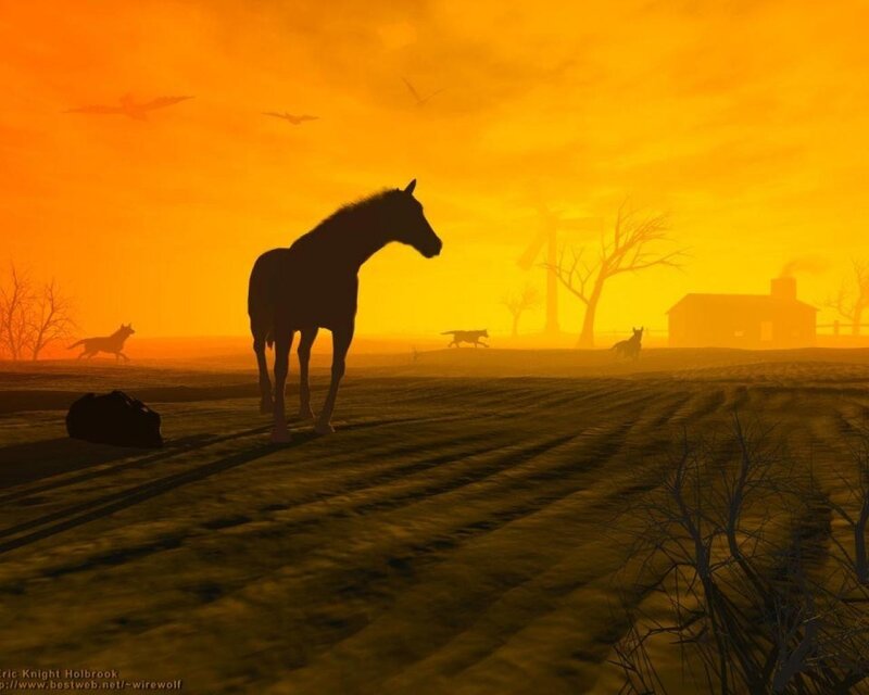 Horse in a Field — Orange