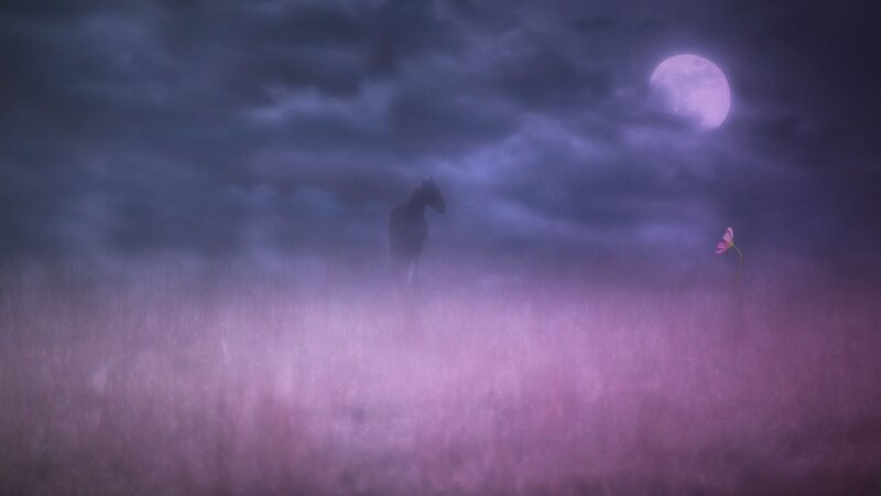 Horse in a Field — Purple