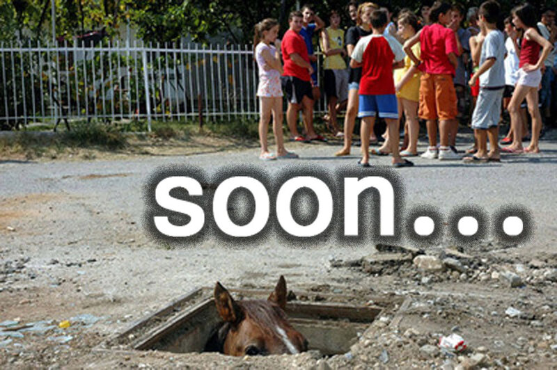 horse in a manhole