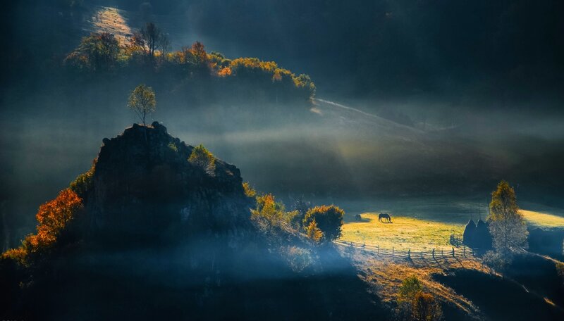 Horse in a Misty Field — Green