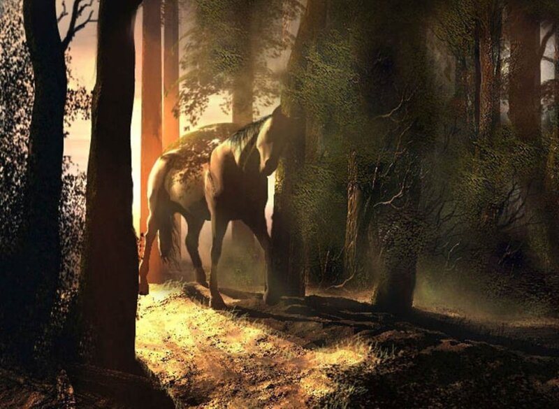 horse in a misty forest