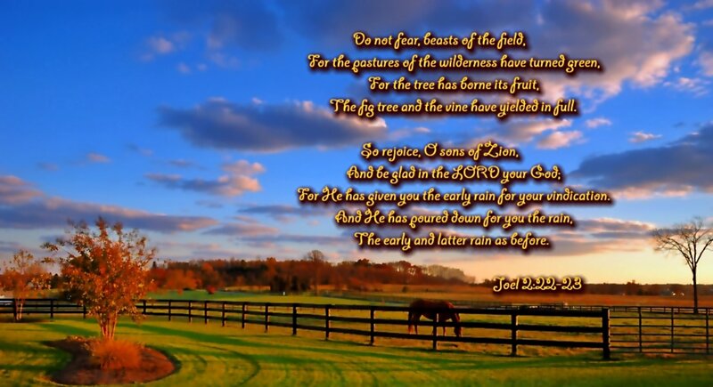 Horse in a Pasture — Blue