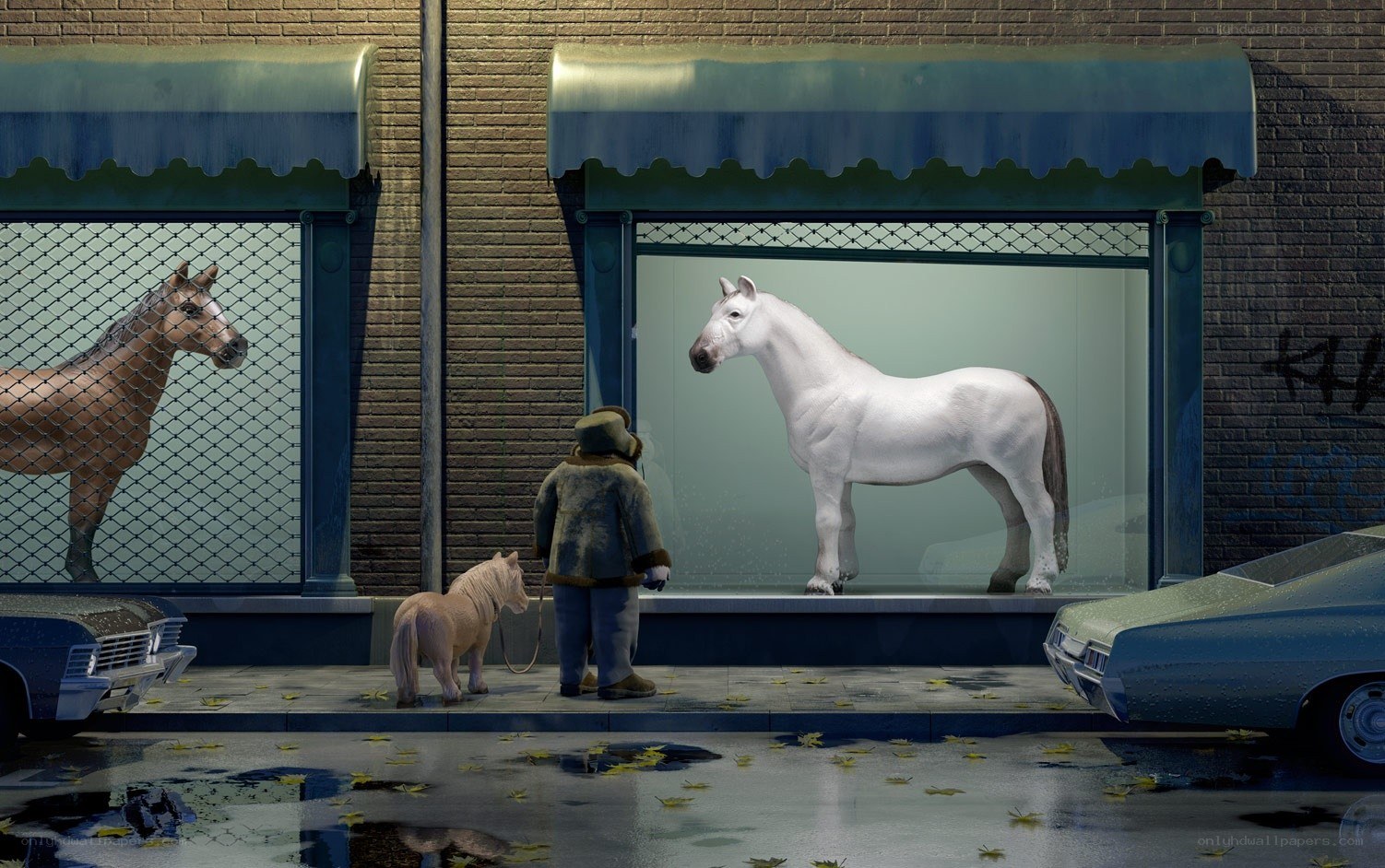 Horse in a shop window