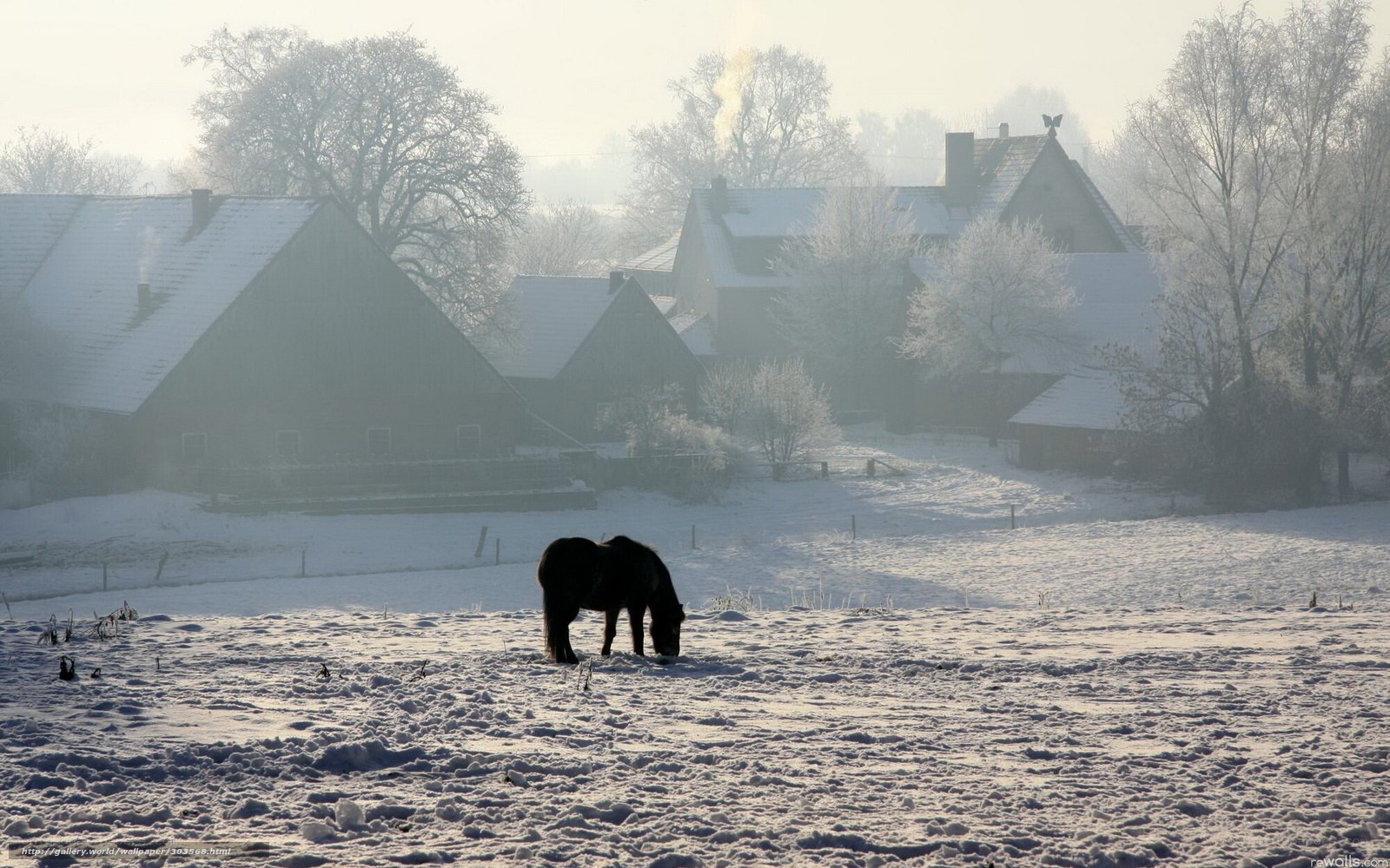 Horse in a snowy village