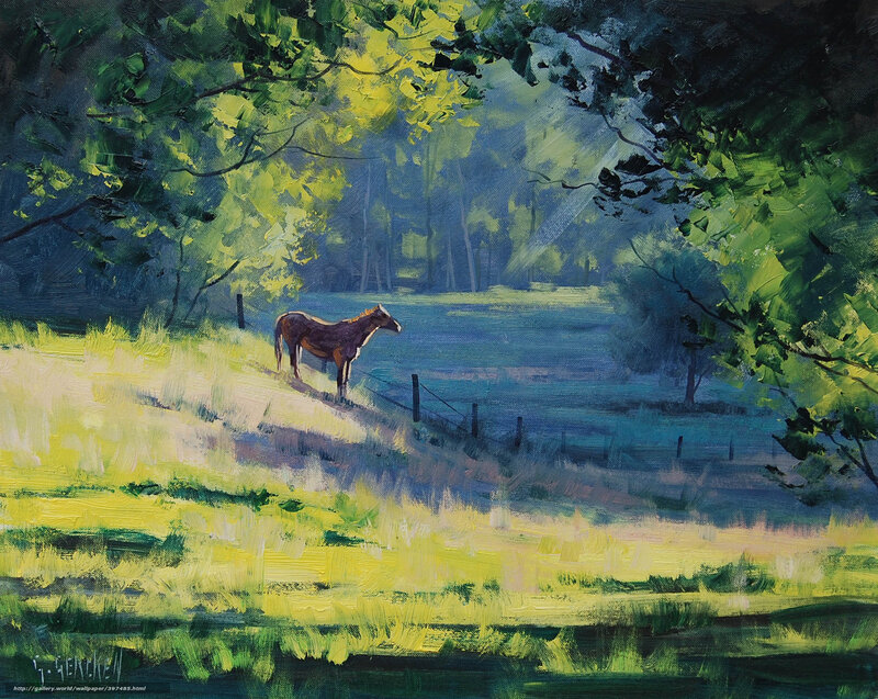 Horse in a sunlit meadow