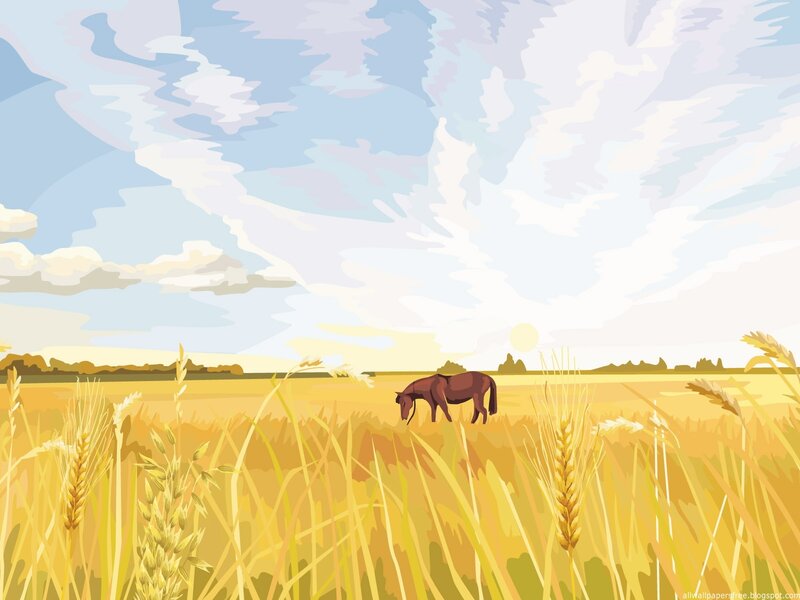 Horse in a wheat field