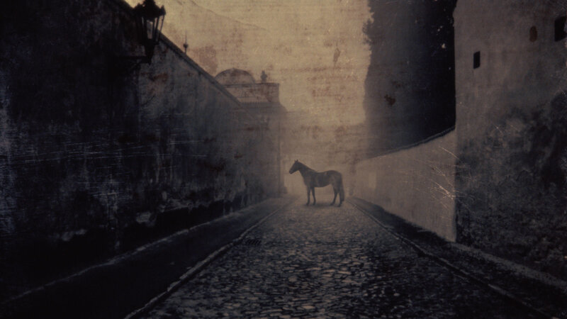 Horse in Alleyway