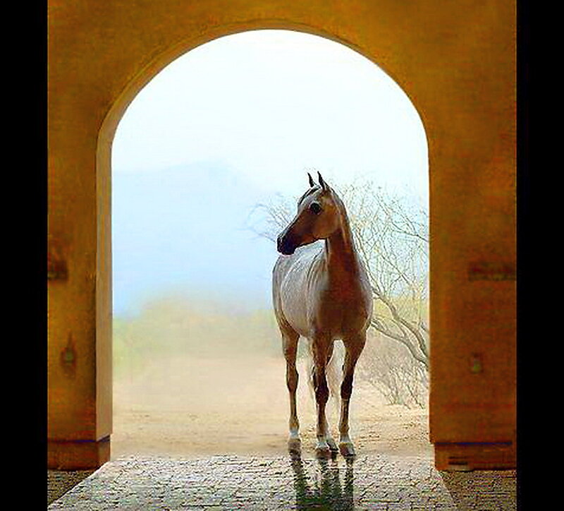 Horse in Arched Doorway