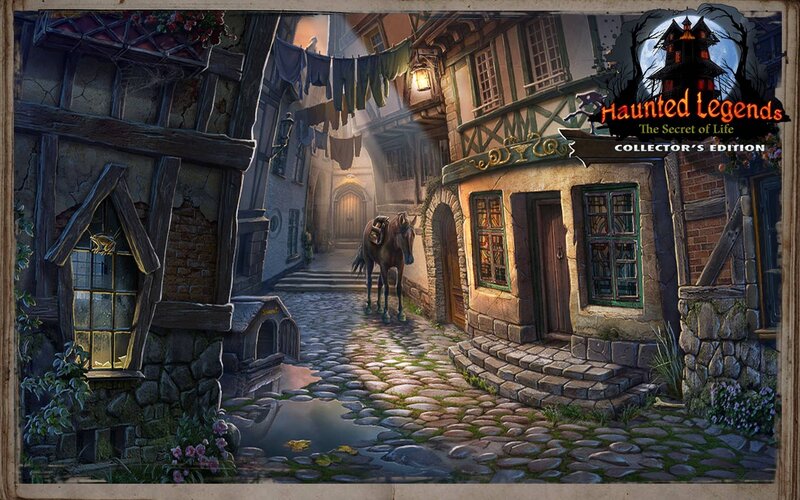 Horse in Cobblestone Alley