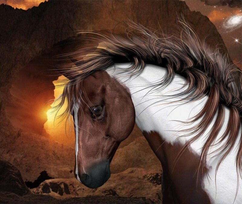 horse in desert cave