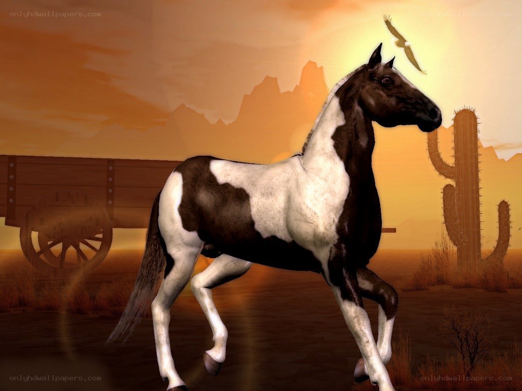 horse in desert sunset