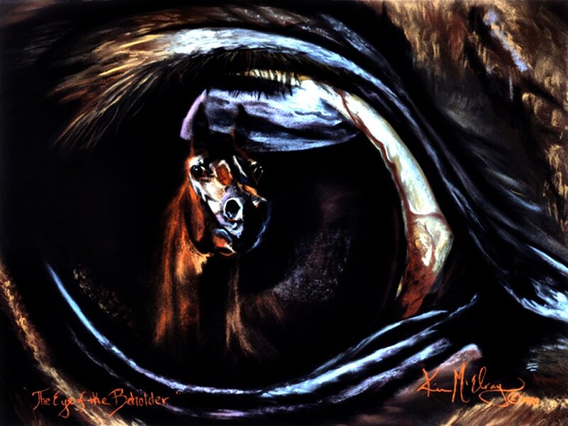 Horse in Eye