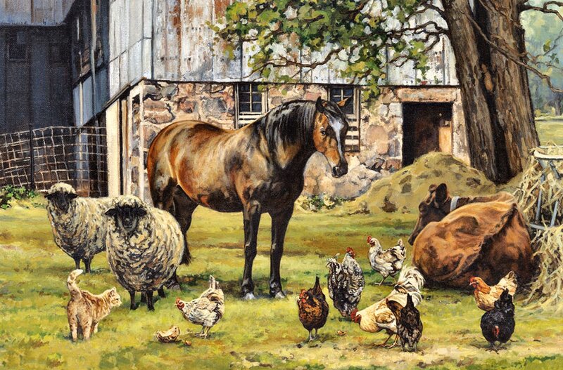 Horse in Farmyard