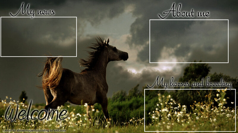 Horse in Field — Gray