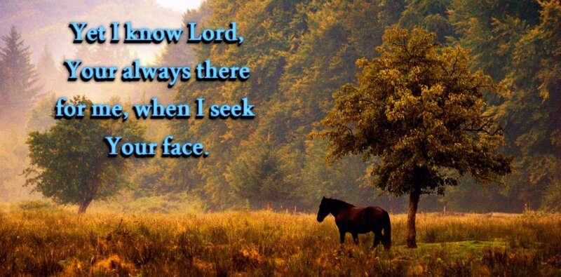 Horse in Field — Green