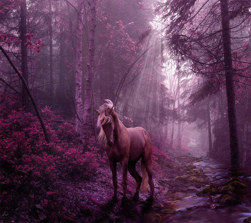 Horse in Forest — Purple