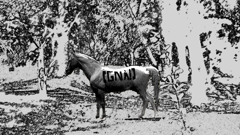 Horse in Forest