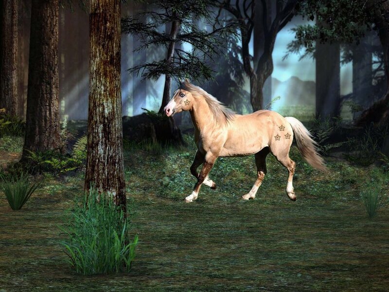 horse in forest with stars