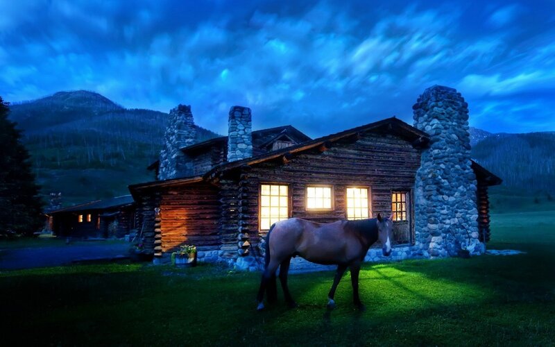 Horse in Front of Cabin