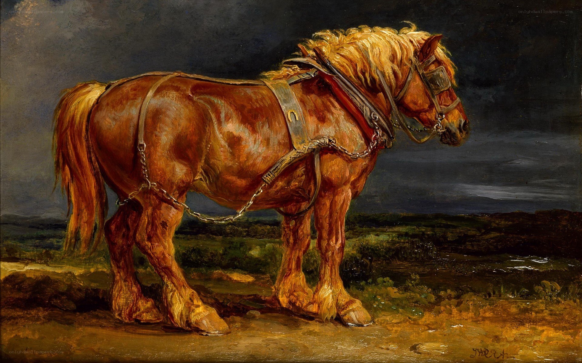 Horse in Harness