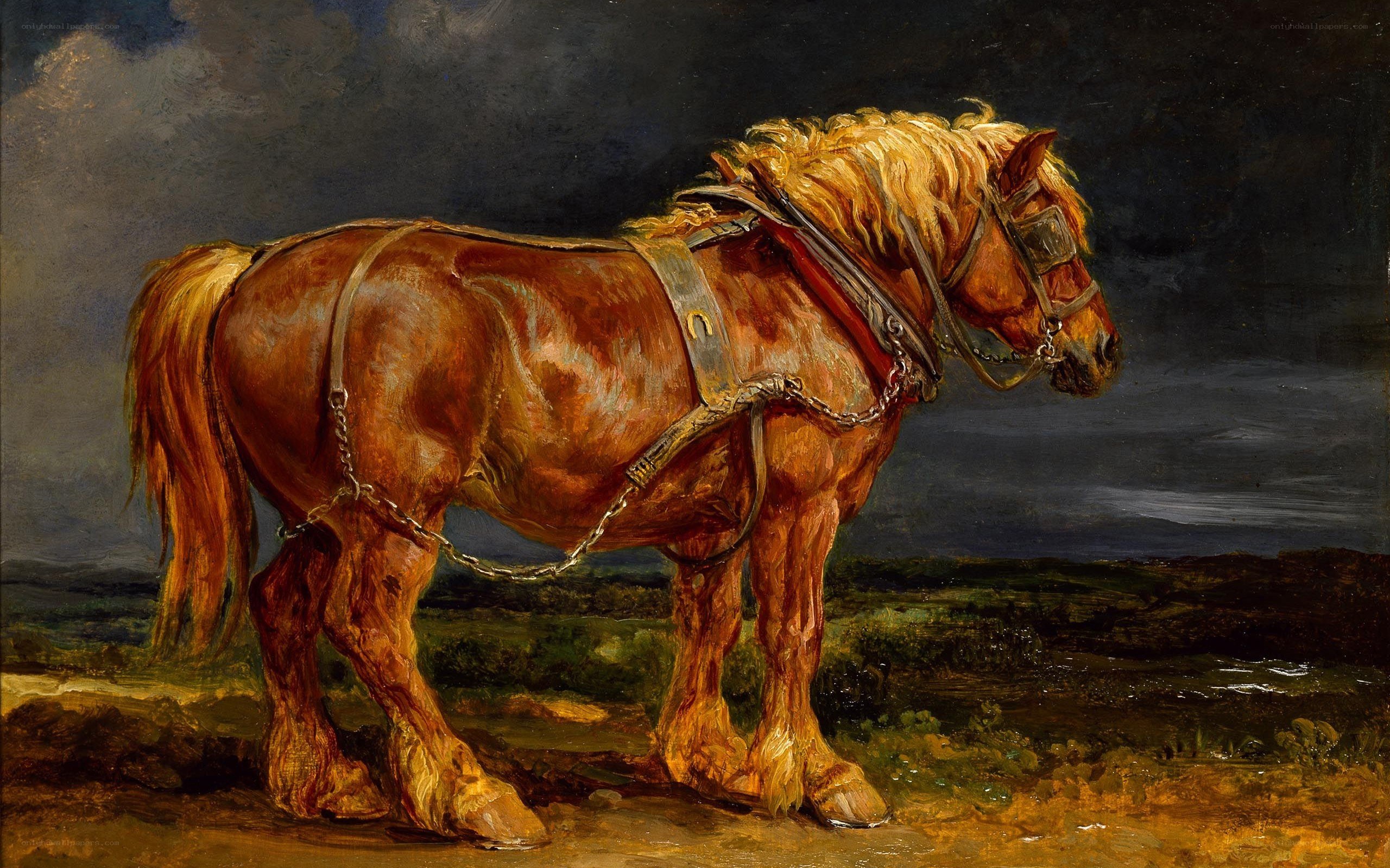 Horse in Harness