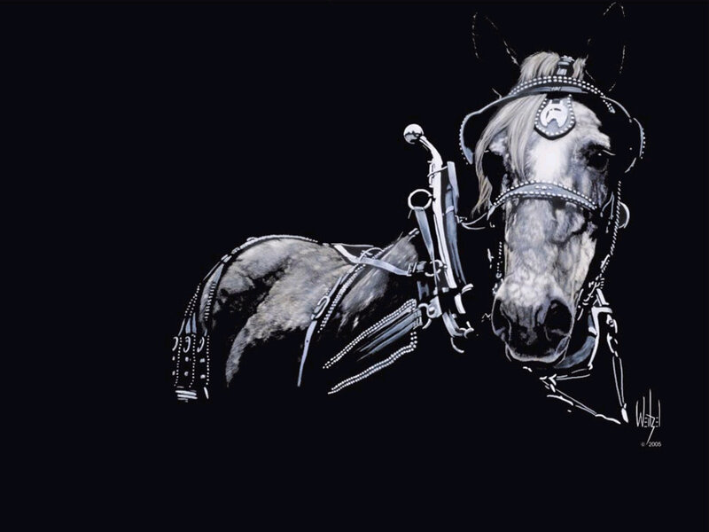 Horse in Harness — Black