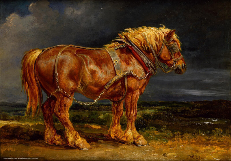 Horse in Harness on a Path
