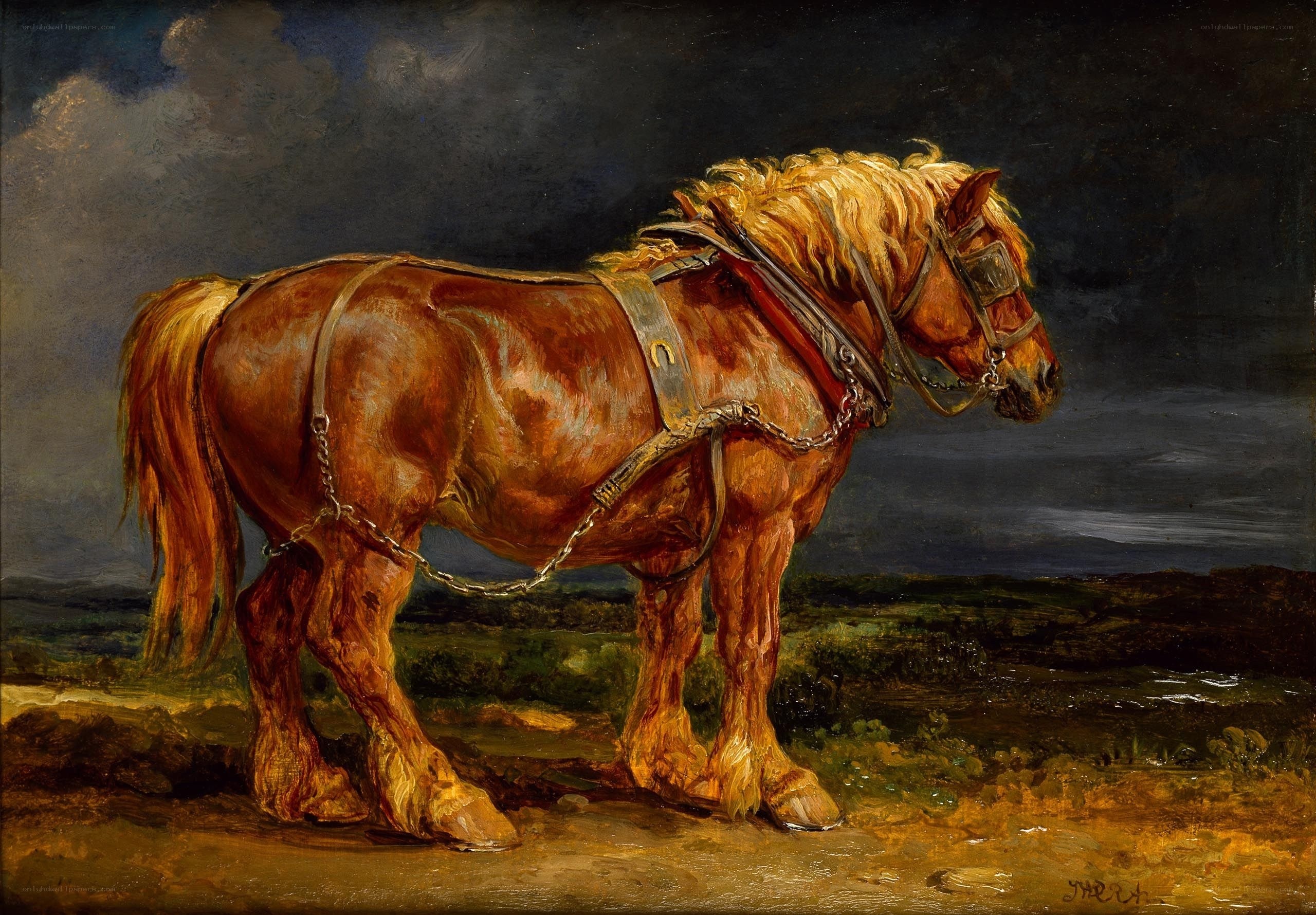 Horse in Harness