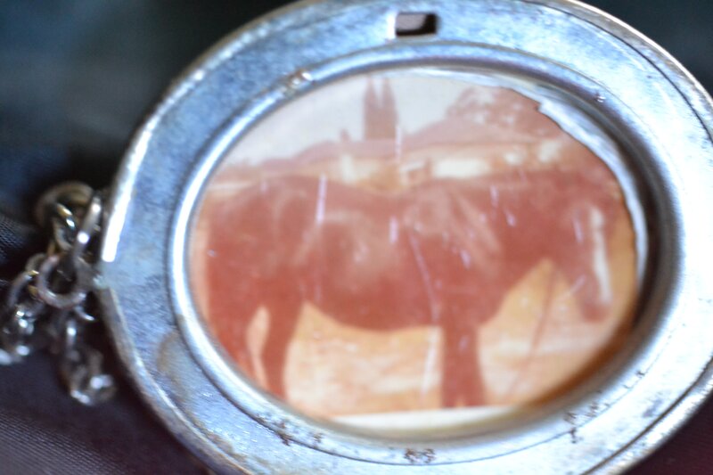 Horse in Locket