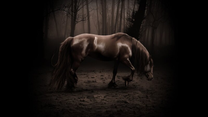 horse in misty forest