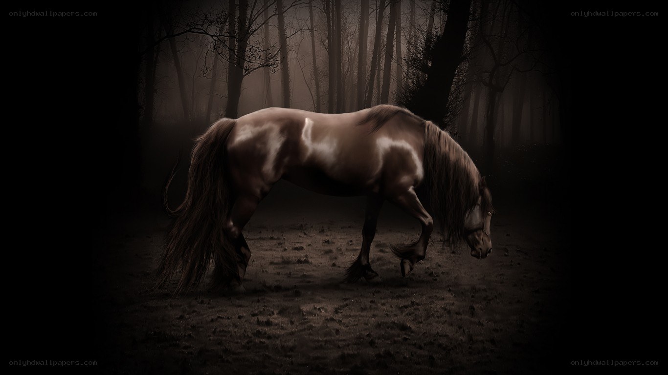 horse in misty forest