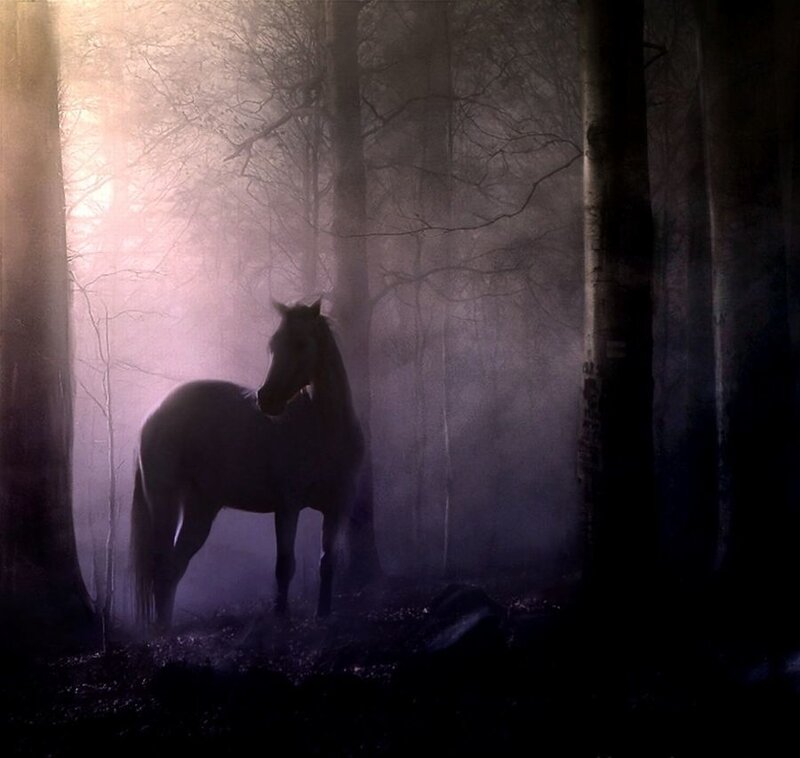 Horse in Misty Forest — Purple