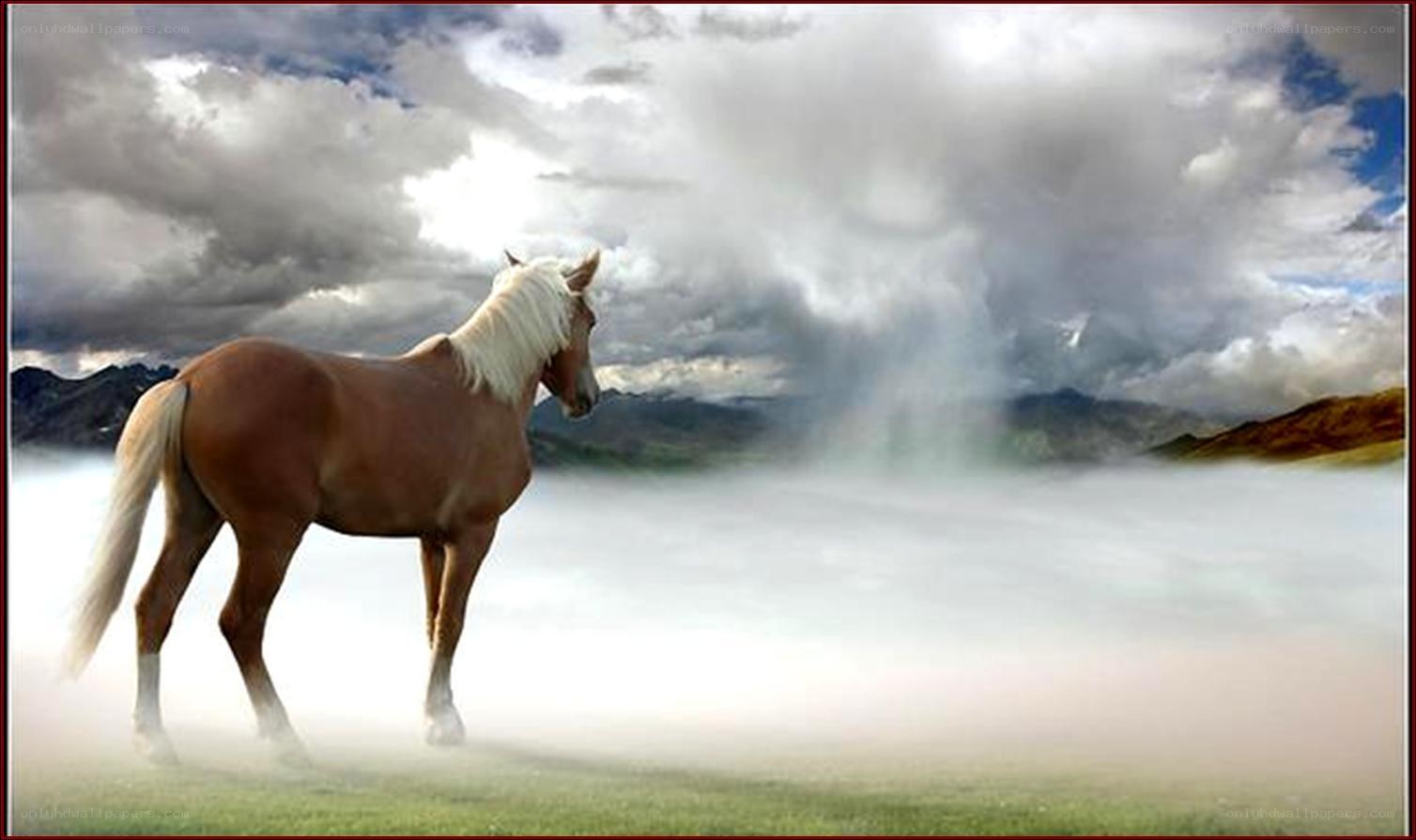 horse in misty landscape