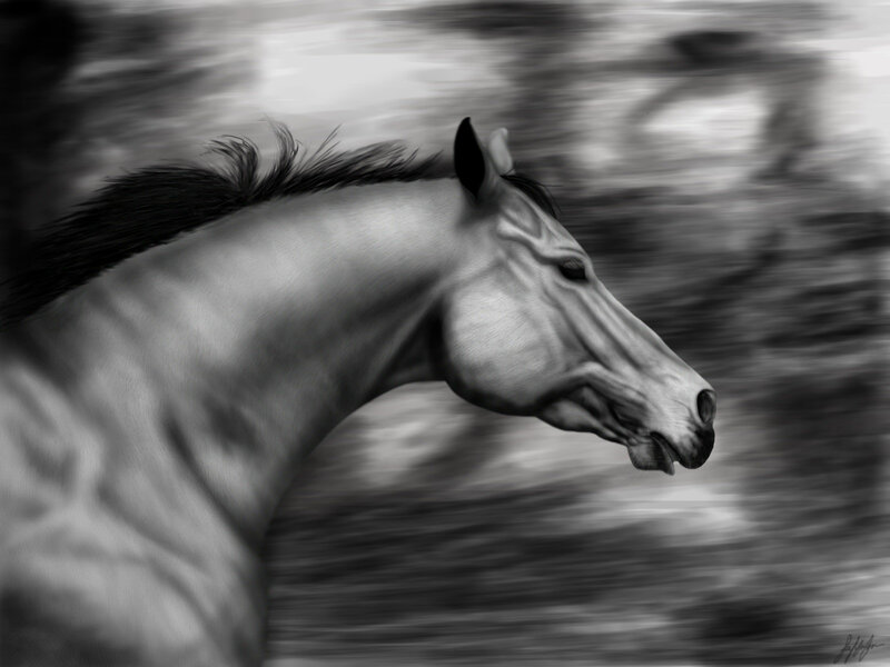 horse in motion