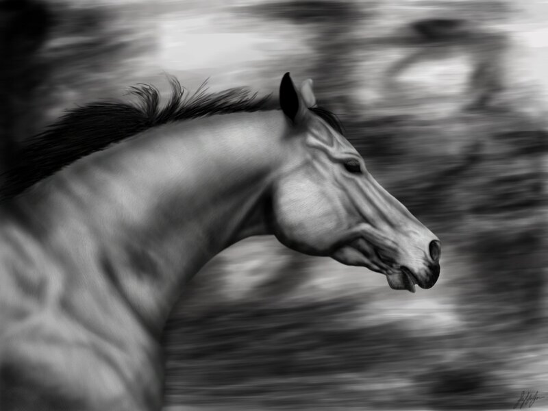 Horse in Motion — Black, Dynamic, Digital Art