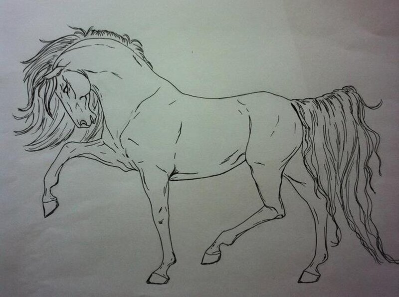 Horse in Motion — Black